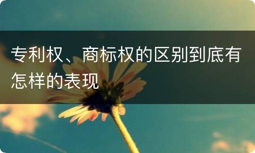 专利权、商标权的区别到底有怎样的表现