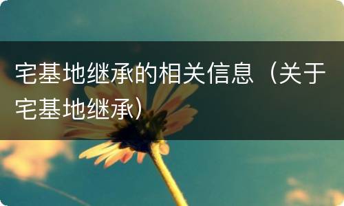 宅基地继承的相关信息（关于宅基地继承）