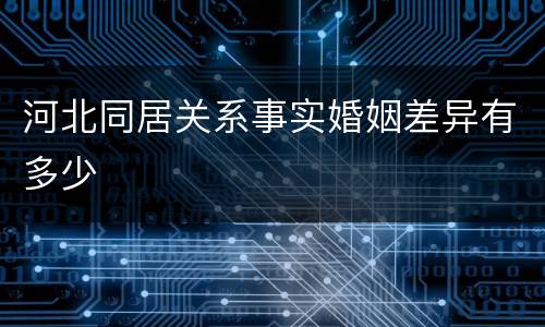 河北同居关系事实婚姻差异有多少