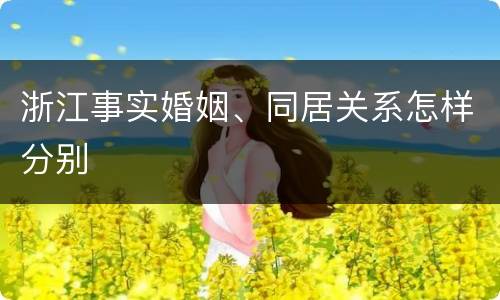 浙江事实婚姻、同居关系怎样分别