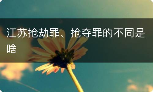 江苏抢劫罪、抢夺罪的不同是啥