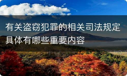 有关盗窃犯罪的相关司法规定具体有哪些重要内容