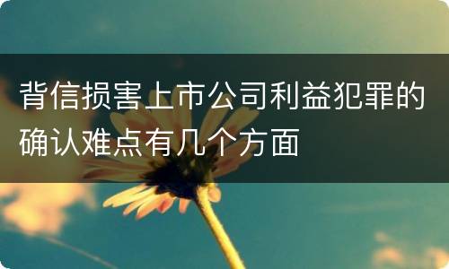 背信损害上市公司利益犯罪的确认难点有几个方面