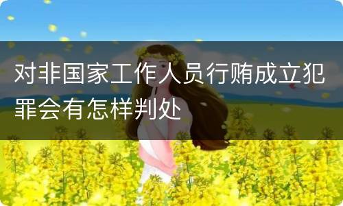 对非国家工作人员行贿成立犯罪会有怎样判处