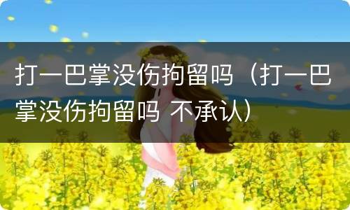 打一巴掌没伤拘留吗（打一巴掌没伤拘留吗 不承认）