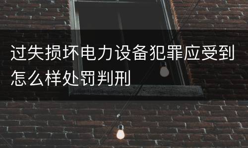 过失损坏电力设备犯罪应受到怎么样处罚判刑