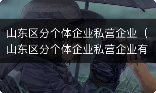 山东区分个体企业私营企业（山东区分个体企业私营企业有多少）