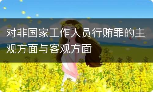 对非国家工作人员行贿罪的主观方面与客观方面