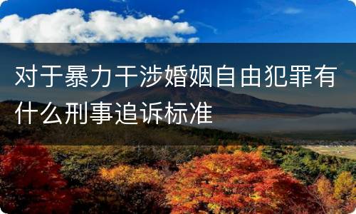对于暴力干涉婚姻自由犯罪有什么刑事追诉标准