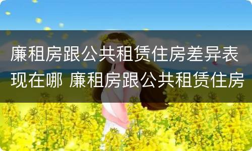廉租房跟公共租赁住房差异表现在哪 廉租房跟公共租赁住房差异表现在哪方面