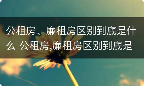 公租房、廉租房区别到底是什么 公租房,廉租房区别到底是什么意思