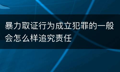 暴力取证行为成立犯罪的一般会怎么样追究责任