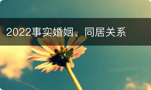 2022事实婚姻、同居关系