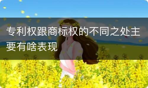 专利权跟商标权的不同之处主要有啥表现