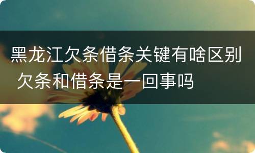 黑龙江欠条借条关键有啥区别 欠条和借条是一回事吗