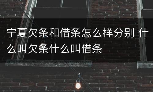 宁夏欠条和借条怎么样分别 什么叫欠条什么叫借条