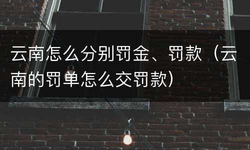 云南怎么分别罚金、罚款（云南的罚单怎么交罚款）