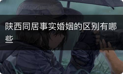 陕西同居事实婚姻的区别有哪些