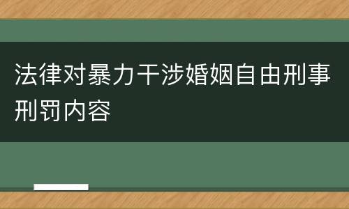 法律对暴力干涉婚姻自由刑事刑罚内容
