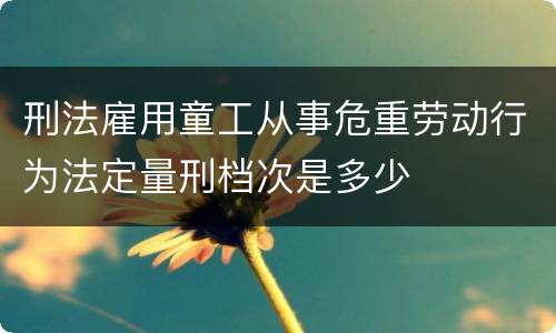 刑法雇用童工从事危重劳动行为法定量刑档次是多少