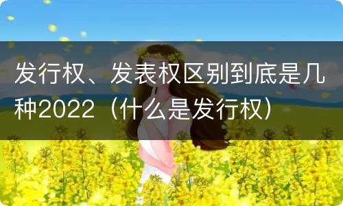 发行权、发表权区别到底是几种2022（什么是发行权）