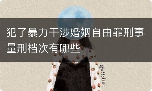 犯了暴力干涉婚姻自由罪刑事量刑档次有哪些