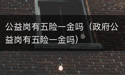 公益岗有五险一金吗（政府公益岗有五险一金吗）