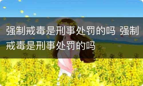 强制戒毒是刑事处罚的吗 强制戒毒是刑事处罚的吗