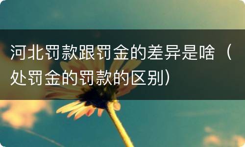 河北罚款跟罚金的差异是啥（处罚金的罚款的区别）