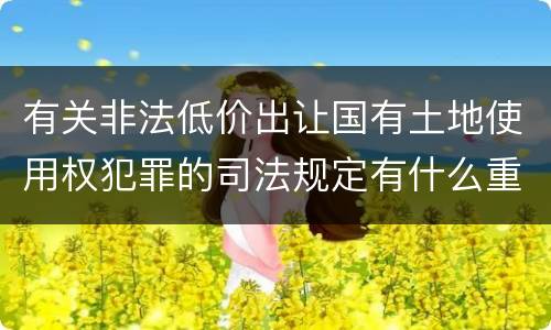 有关非法低价出让国有土地使用权犯罪的司法规定有什么重要内容