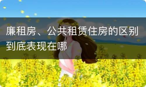 廉租房、公共租赁住房的区别到底表现在哪