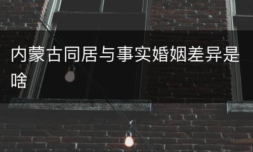内蒙古同居与事实婚姻差异是啥
