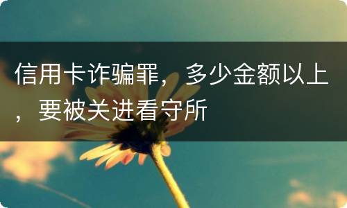 信用卡诈骗罪，多少金额以上，要被关进看守所