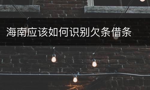 海南应该如何识别欠条借条