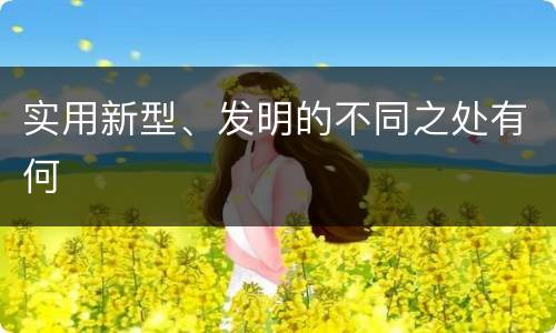 实用新型、发明的不同之处有何