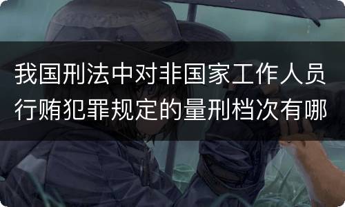 我国刑法中对非国家工作人员行贿犯罪规定的量刑档次有哪些