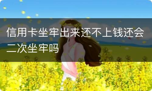 信用卡坐牢出来还不上钱还会二次坐牢吗