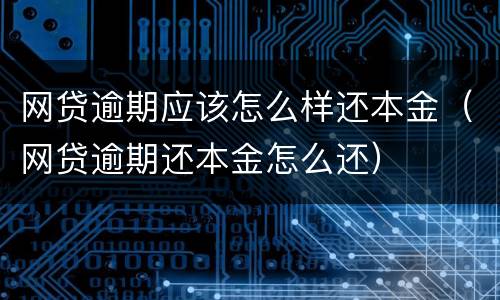 网贷逾期应该怎么样还本金（网贷逾期还本金怎么还）