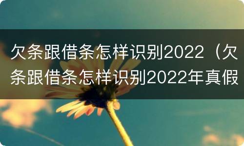 欠条跟借条怎样识别2022（欠条跟借条怎样识别2022年真假）