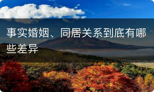 事实婚姻、同居关系到底有哪些差异