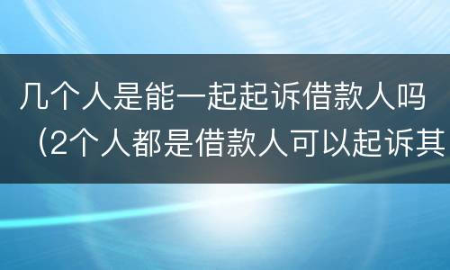 几个人是能一起起诉借款人吗（2个人都是借款人可以起诉其中一个吗）