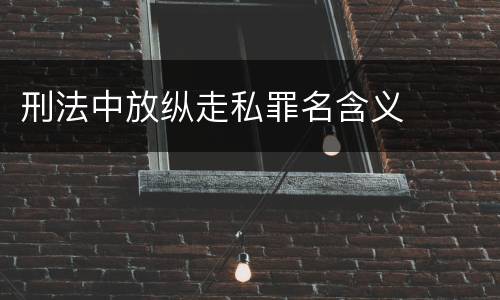 刑法中放纵走私罪名含义