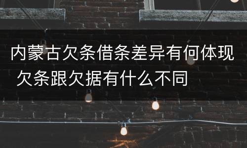 内蒙古欠条借条差异有何体现 欠条跟欠据有什么不同