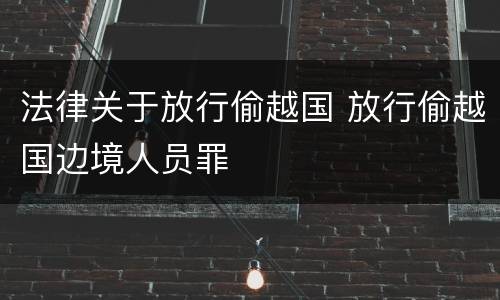 法律关于放行偷越国 放行偷越国边境人员罪