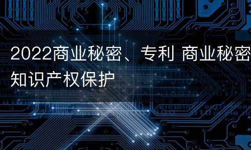 2022商业秘密、专利 商业秘密知识产权保护