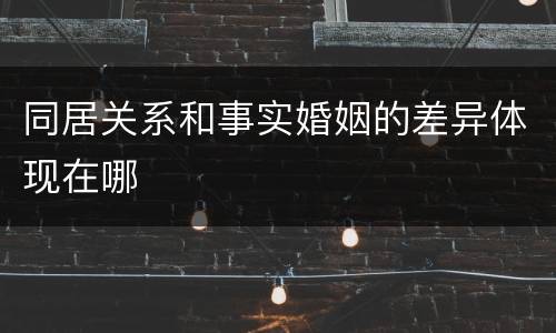 同居关系和事实婚姻的差异体现在哪