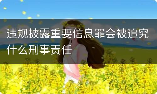 违规披露重要信息罪会被追究什么刑事责任