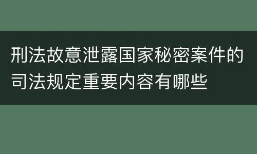 刑法故意泄露国家秘密案件的司法规定重要内容有哪些