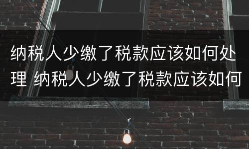 纳税人少缴了税款应该如何处理 纳税人少缴了税款应该如何处理呢