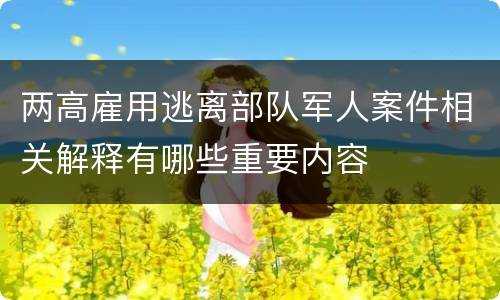 两高雇用逃离部队军人案件相关解释有哪些重要内容